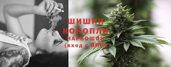 прущие крисы Вяземский