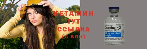 прущие крисы Вяземский
