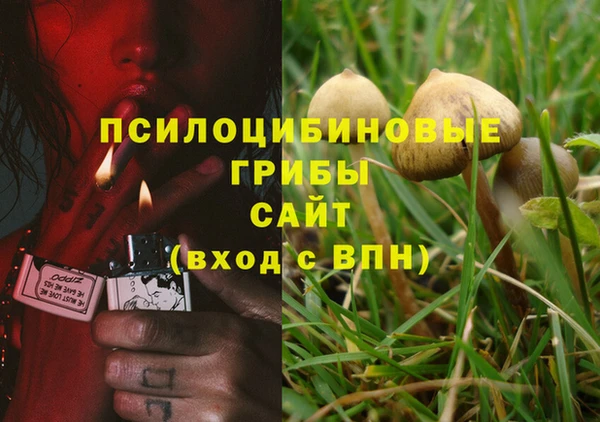 прущие крисы Вяземский