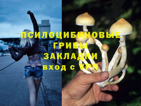 прущие крисы Вяземский