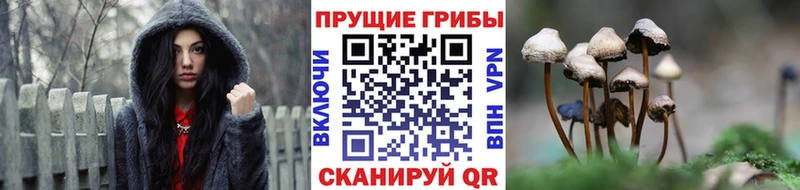 где купить наркоту  Верхний Уфалей  Псилоцибиновые грибы Magic Shrooms 